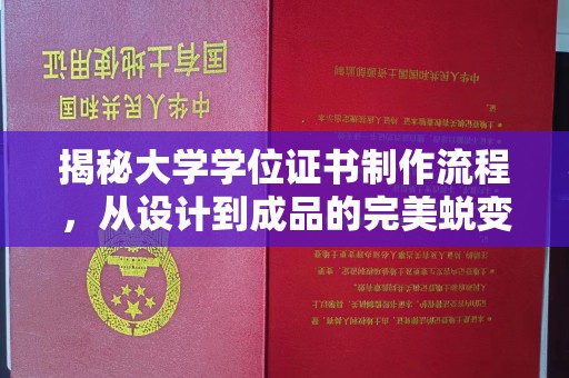 宁洱揭秘大学学位证书制作流程，从设计到成品的完美蜕变
